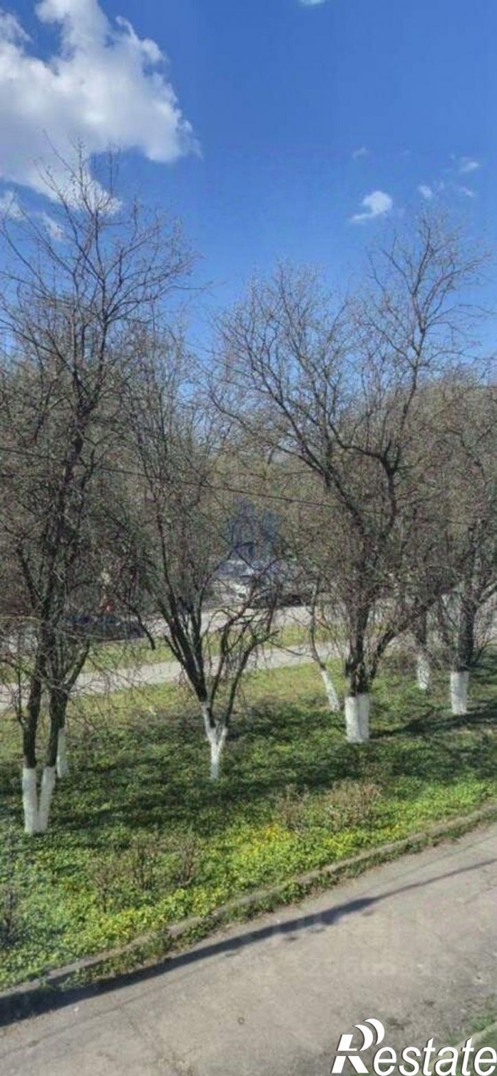 Комната Парковая улица, 37,  д. 37
